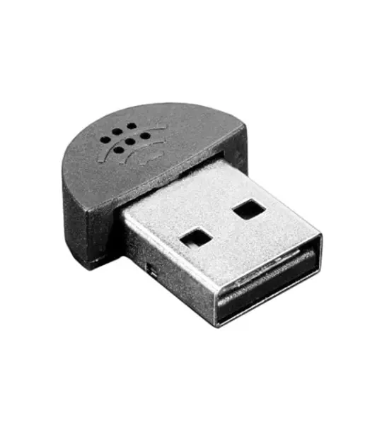 Mini USB Microphone