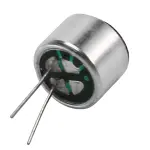 Mic
