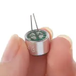 Mic