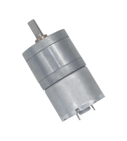 25GA310 DC Deceleration Micromotor DC12V100RPM